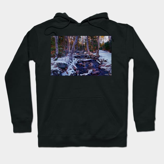 Hemlock Ravine Park 02 Hoodie by kenmo